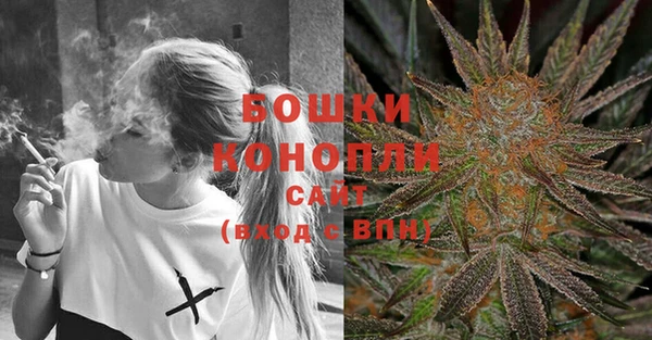 шишки Баксан