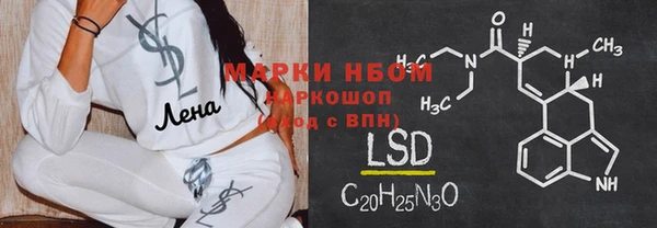 PSILOCYBIN Балабаново