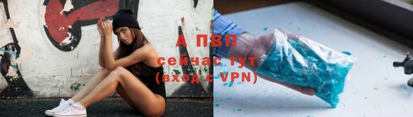 PSILOCYBIN Балабаново