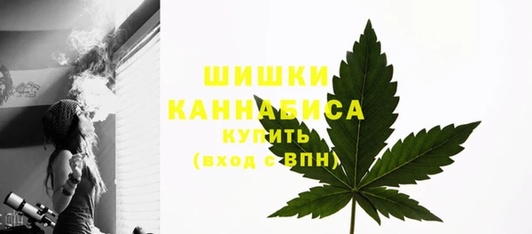 PSILOCYBIN Балабаново