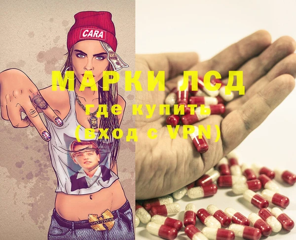 шишки Баксан