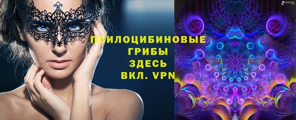 шишки Баксан