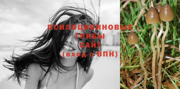PSILOCYBIN Балабаново