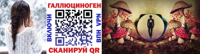 магазин    kraken онион  Псилоцибиновые грибы Psilocybe  Унеча 